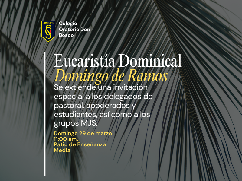 Historias (Post de Facebook) (1).png